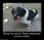 Олексій Дармограй фотография #38 (источник - https://vk.com/id44311451)