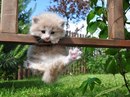 Таня Трубіна фотография #29 (источник - https://vk.com/id152375131)