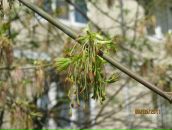 Фотография Бажиной Марии