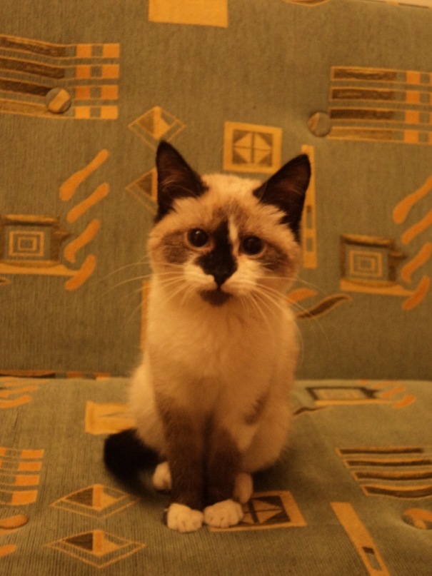 Free Man фотография #24