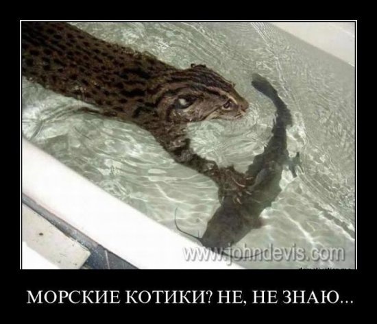 №12, Екатерина Витухина, Новосибирск, Россия №12, Екатерина Витухина, Новосибирск, Россия