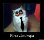 Фотография Сучихина Вячеслава