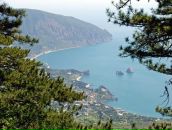 Дима Петренко фотография #36 (источник - https://vk.com/id102480375)