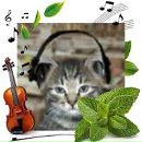 Alex Fox фотография #28 (источник - https://vk.com/id40662)