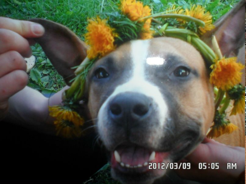 Дмитрий Самуленков фотография #27