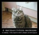 Κирилл Εфимов фотография #1