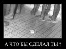 Фотография Шемякова Александра