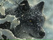 Фотография Абрамзона Ильи