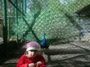 Оля Ковтуцька (зуєва) фотография #20 (источник - https://vk.com/id131953861)
