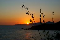 Анна Прасалова фотография #34 (источник - https://vk.com/id697313)