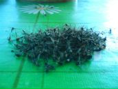 Фотография Зубакина Константина