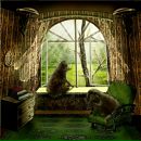 Фотография Аникин Сергей