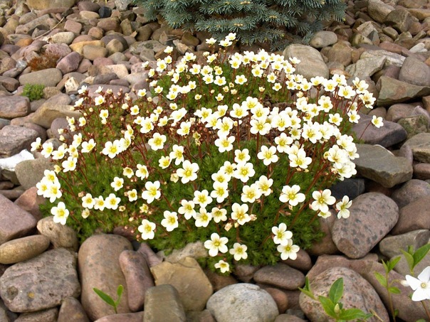 Olga Oconnell фото №8