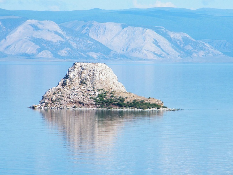 Дмитрий Бартасов фотография #33