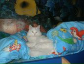 Фотография Гагариной Натальи