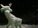 Фотография Суворовой Юлии