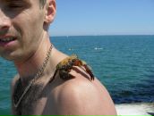 Міша Цанько фотография #23 (источник - https://vk.com/id136161172)