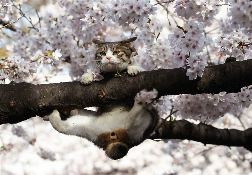 Денис Корнев фотография #9