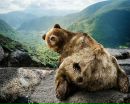 Фотография Никалай Самсонов