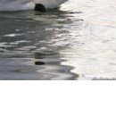 Ірина Швець фотография #25 (источник - https://vk.com/id146166672)