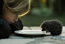 Наталія Левицька фотография #7 (источник - https://vk.com/id151047608)