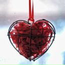 Фотография Попова Игоря