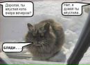 Вадим Башлыков фотография #10 (источник - https://vk.com/id2512797)