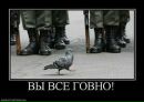 Ростік Харламов фотография #48 (источник - https://vk.com/id135758390)
