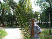 Фотография Маянова Евгения