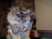 Фотография Шульпиной Евгении