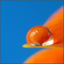 Фотография Манаковой Лилии