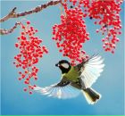 Дмитрий Киселев фотография #43 (источник - https://vk.com/id1871654)