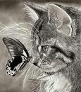 Катя Кригіна фотография #22 (источник - https://vk.com/id153344193)