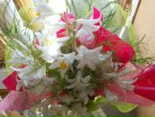 Катюша Кузьмінська фотография #46 (источник - https://vk.com/id32935522)