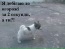 Віталік Шпиль фотография #35 (источник - https://vk.com/id164582845)