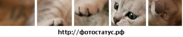 Анічка Сисюк фотография #15 (источник - https://vk.com/id65558127)