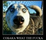 Фотография Викторовича Руслана