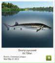 Сергій Незнайко фотография #19 (источник - https://vk.com/id138281469)