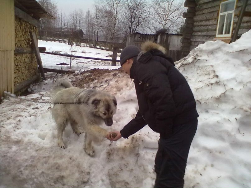 Дмитрий Пашкан фотография #43