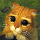 Полина =) фотография #46 (источник - https://vk.com/id153653780)