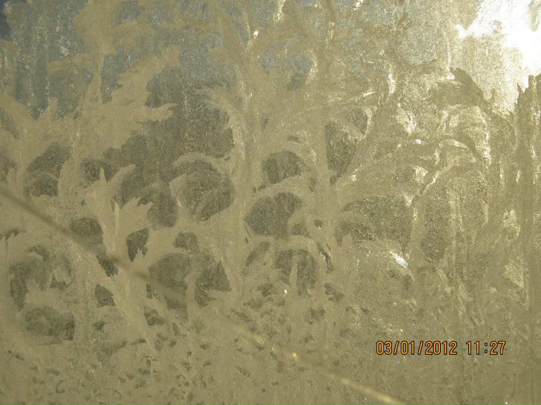 Виктор Ледяев фотография #48