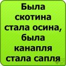 Ірина Бахурська фотография #32 (источник - https://vk.com/id140563956)