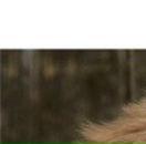 Лєна Ляшкевич фотография #46 (источник - https://vk.com/id57337092)