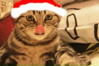 Настасья Иванова фотография #9 (источник - https://vk.com/id2155504)