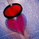 Аліна Чубарко фотография #4 (источник - https://vk.com/id165065669)