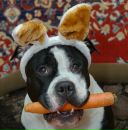 Фотография Барбашиной Александры