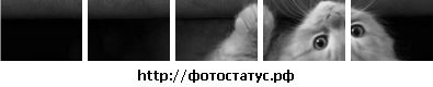 Інна Федорук фотография #7 (источник - https://vk.com/id33348961)