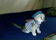 Андрій Обельчук фотография #48 (источник - https://vk.com/id113509271)