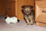 Фотография Ануфриевой Ульяны