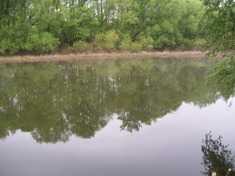 Слава Бабенко фотография #36